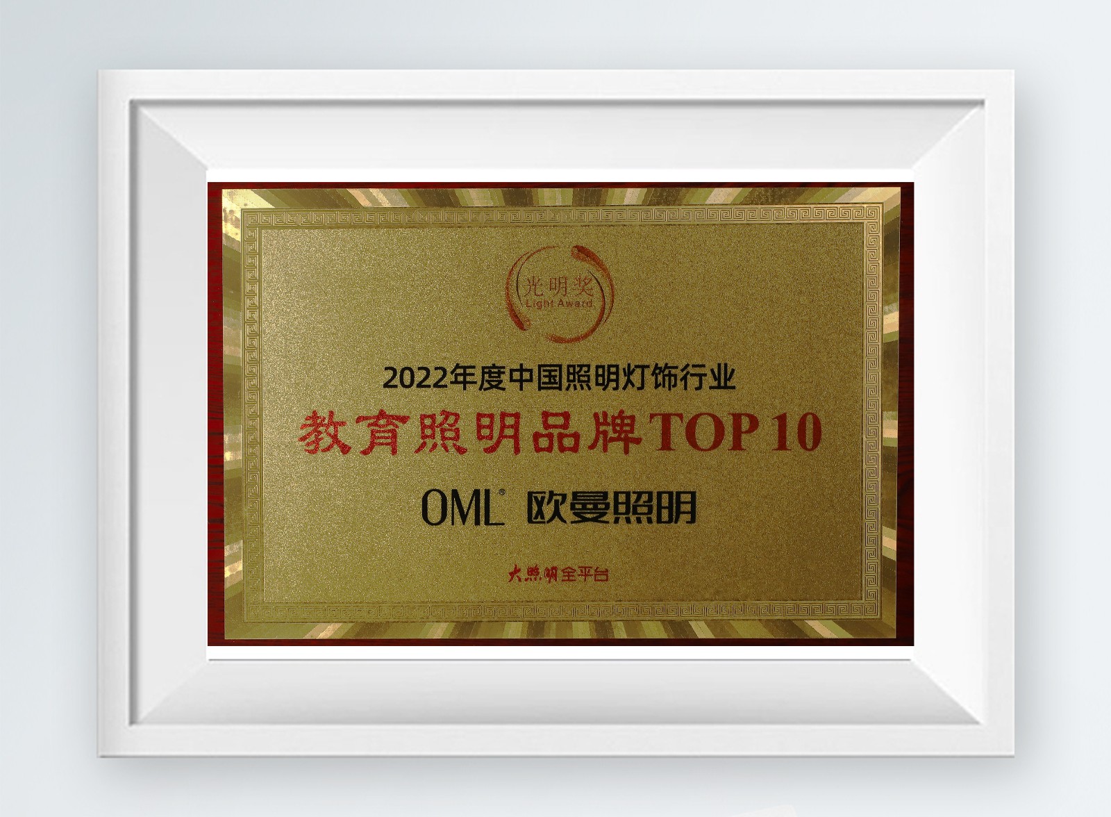 2022年度中国照明灯饰行业女人与拘牲交片完整片品牌TOP10.jpg