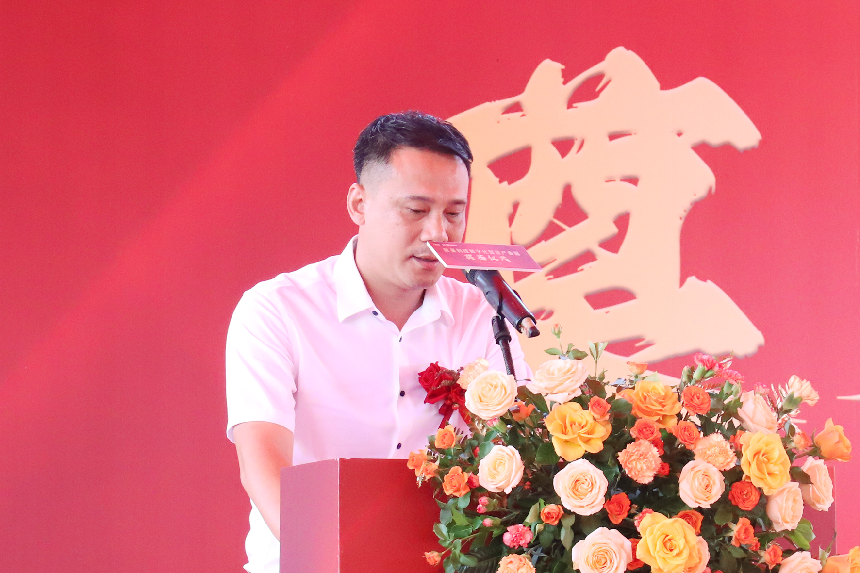 马少桦.jpg