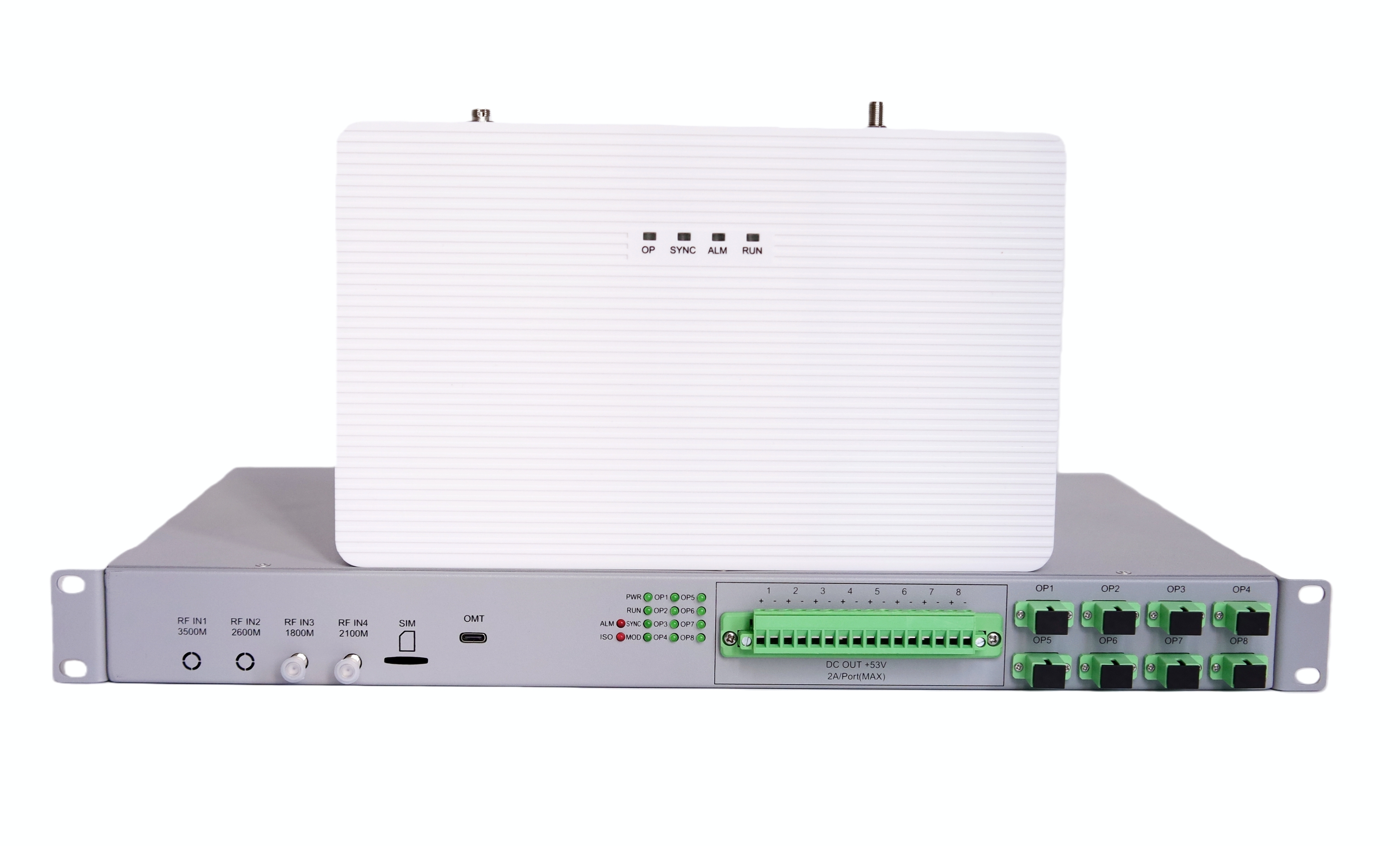 真人做爰无遮挡免费观看