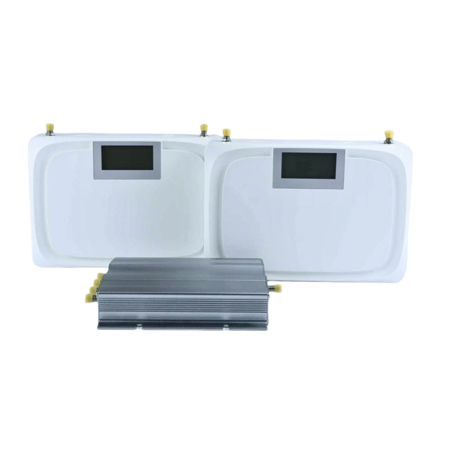 真人做爰无遮挡免费观看